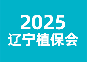 2025ֲ